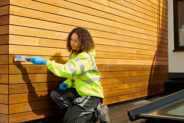 Best Custom Trim and Detailing for Siding  in Orange City, FL